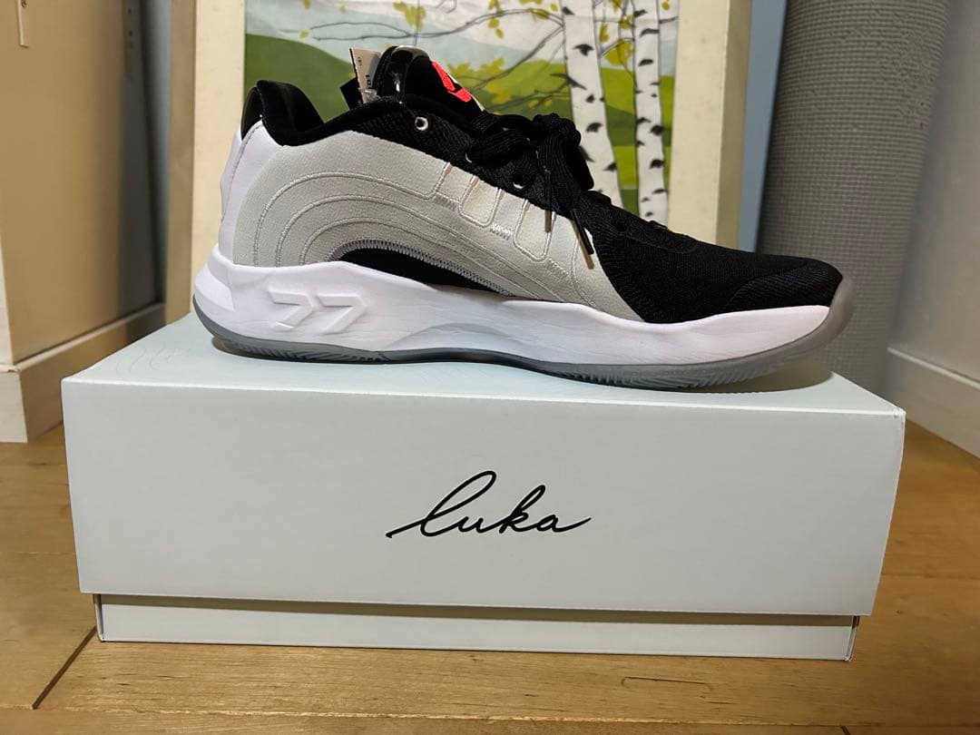 NIKE JORDAN LUKA 4 PF White Cement ジョーダン