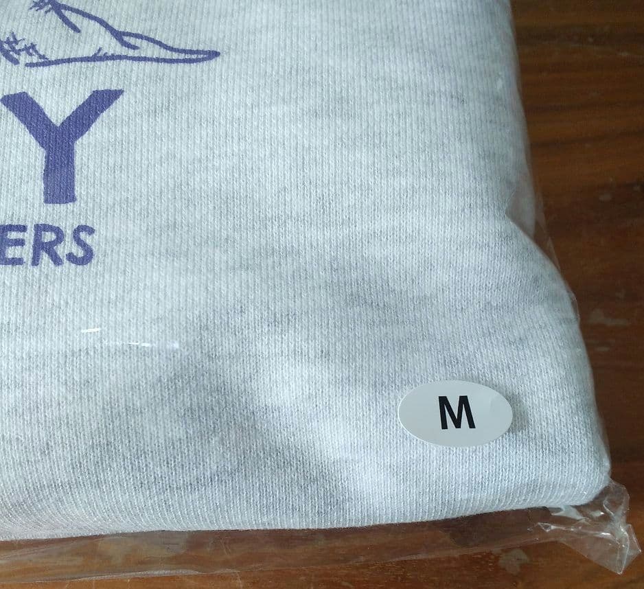 『東京リベンジャーズ』天竺編 シーンイラストパーカー3(オレの命) Mサイズ