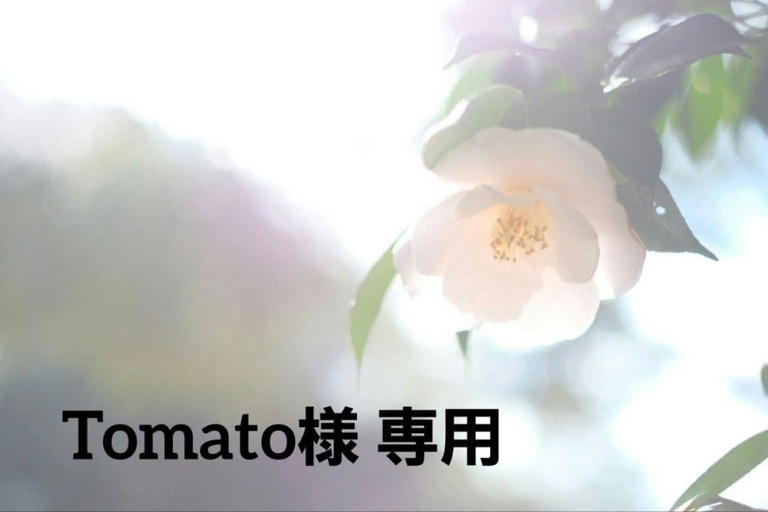 コラージュ素材 大容量 まとめ売り