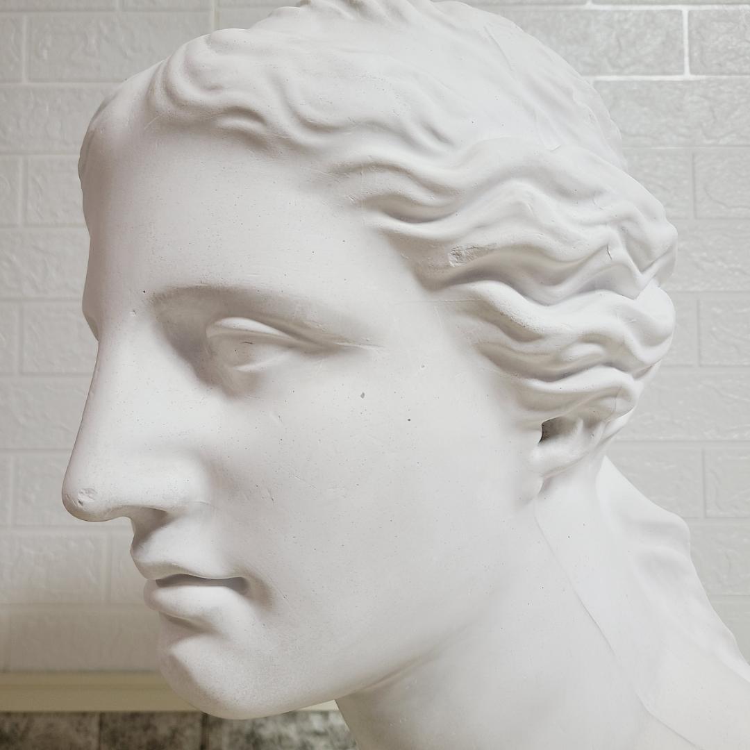 ミロのヴィーナス デッサン用 石像 胸像 彫刻 石膏像 オブジェ