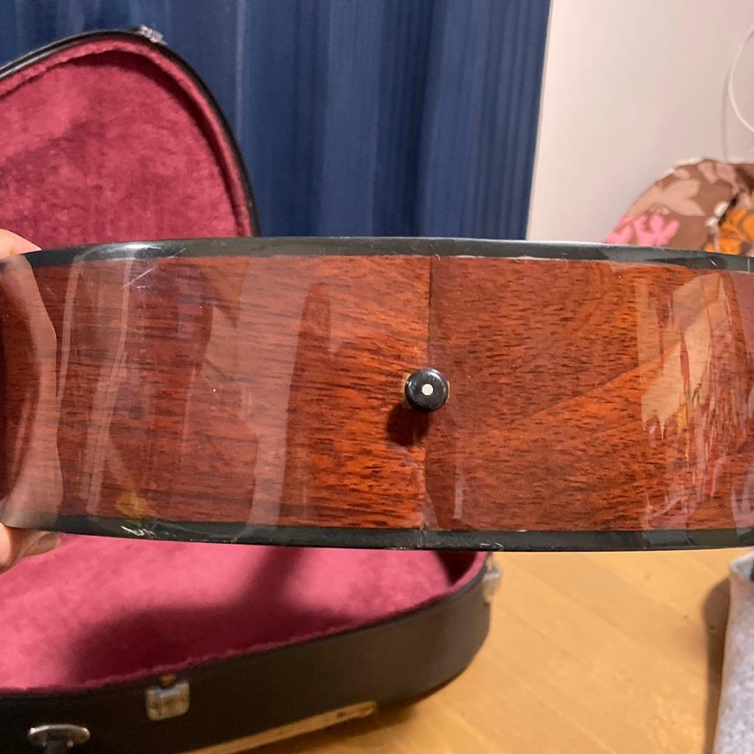 【最終値下げ】takamine ギター T-F2TBS ハードケース付き