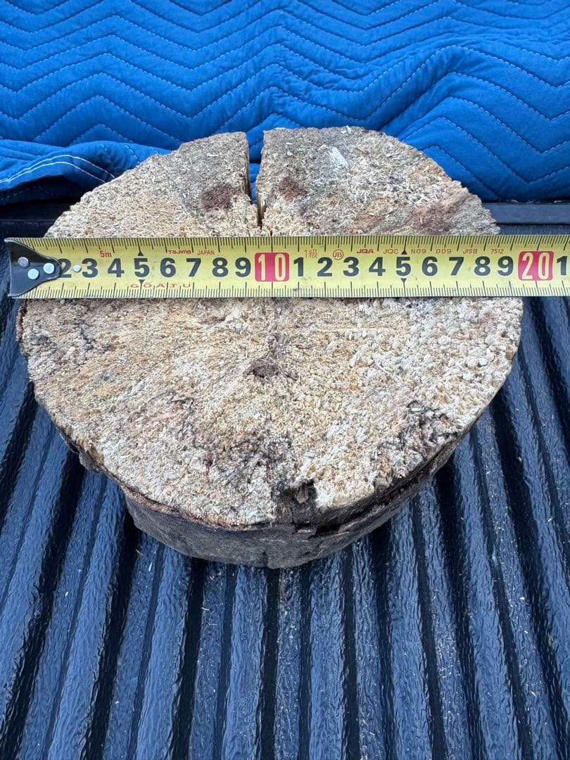 ベトナム材　VN材　13cm×20cm 産卵木