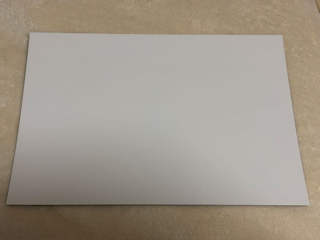 魔道祖師 THEキャラカフェ ランチョンマット コースター 魏無羨 藍忘機