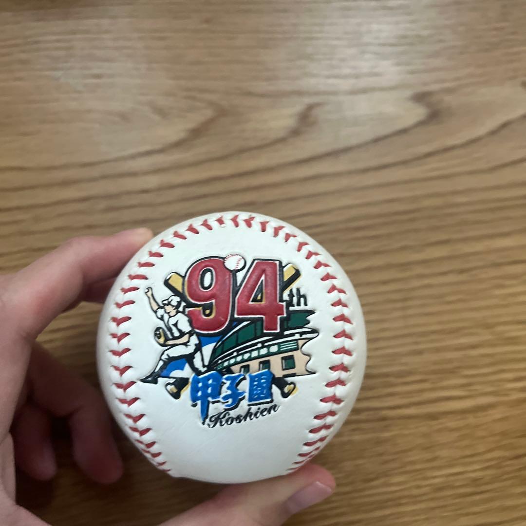 滝川第二　サッカー　野球　タオルマフラー 甲子園ボール