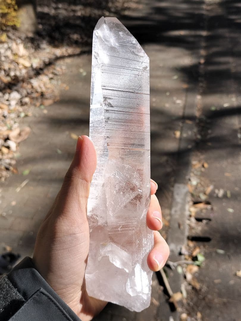 【早いもの勝ち超特価】レムリアンシード