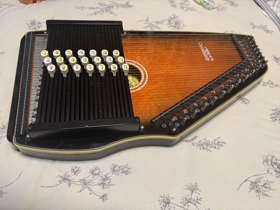 ARIR Cordaharp 21コード （オートハープ）