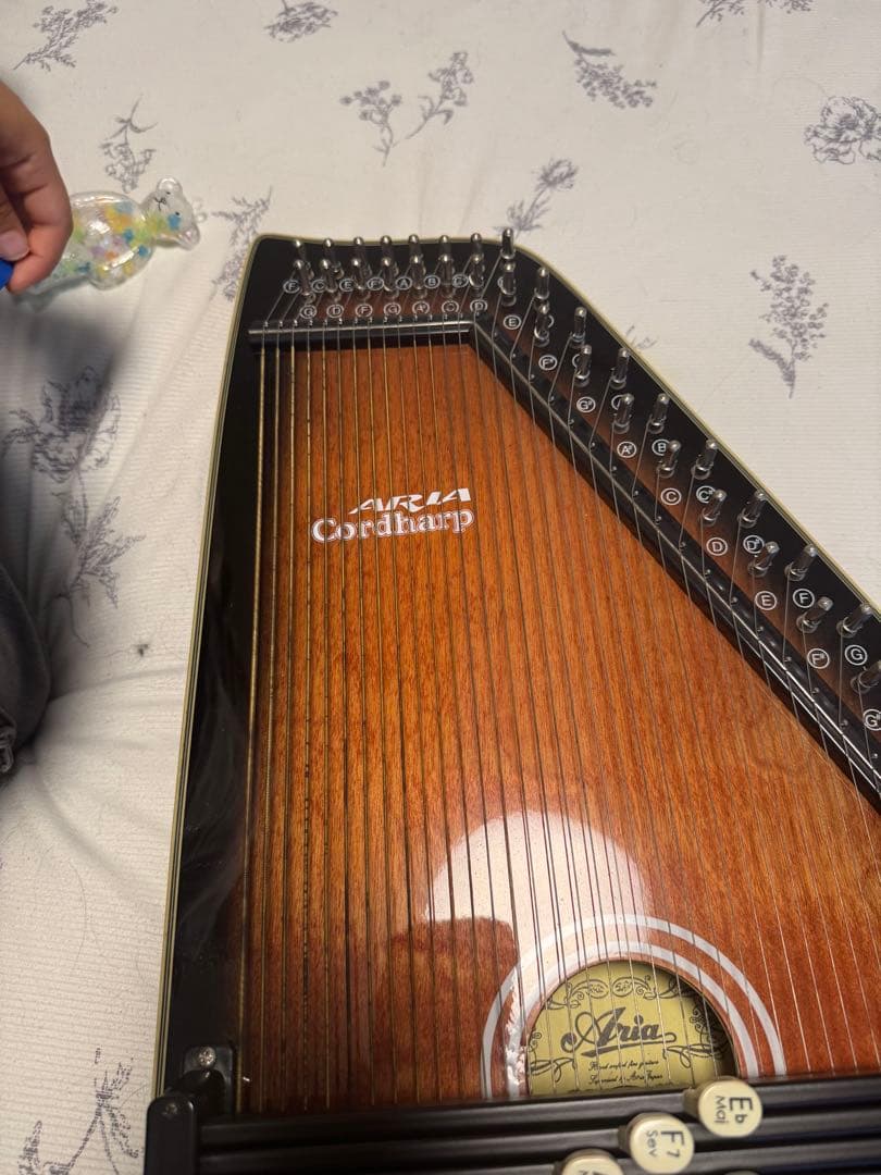 ARIR Cordaharp 21コード （オートハープ）