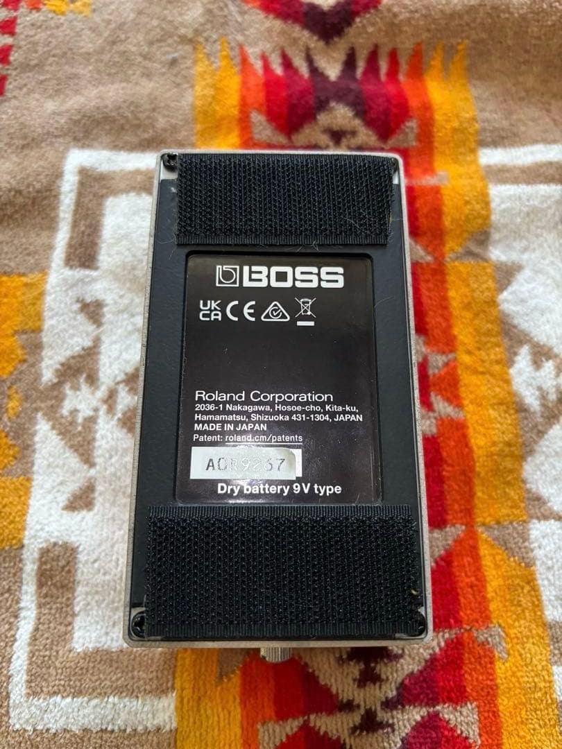 ギター BOSS DS-1w