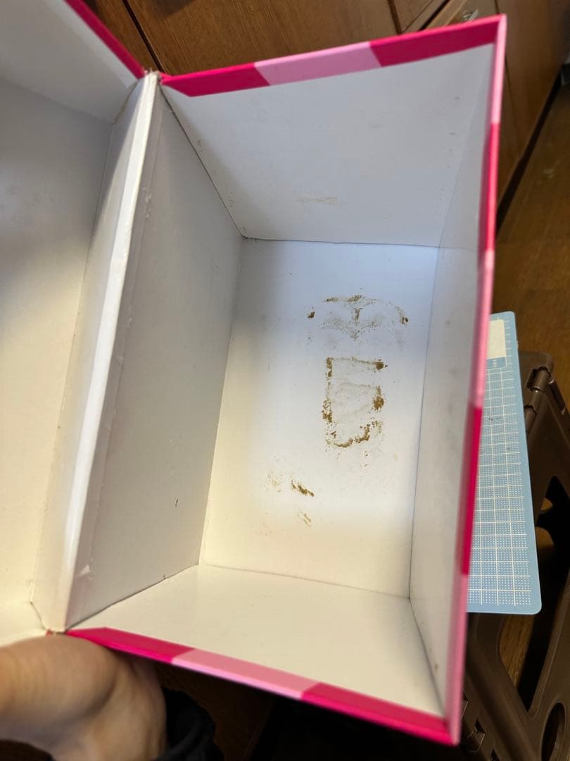 ディズニー　 不思議の国のアリス　チェシャ猫　300体限定　ソフビフィギュア