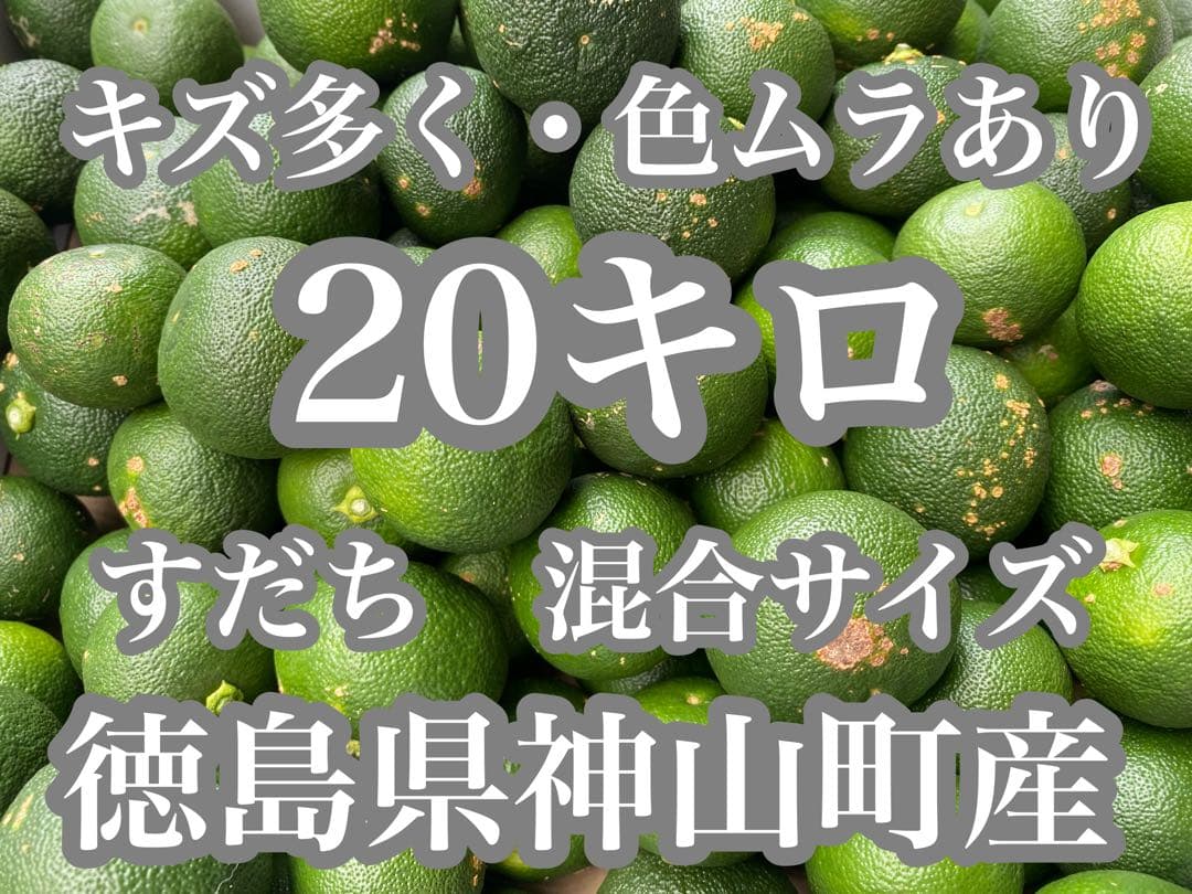 徳島県神山町産すだち　混合サイズ　　20キロ　　キズ多く・色むらあり　②