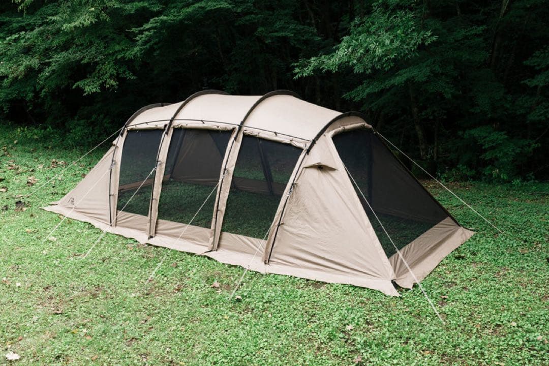 サバティカルアルニカ