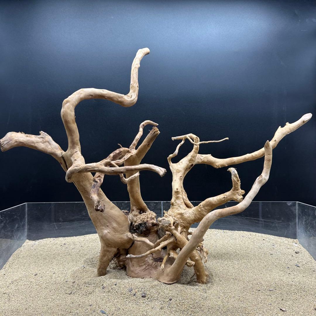 MDW-7164 ブランチウッド2本セット　流木　枝流木　アクアリウム