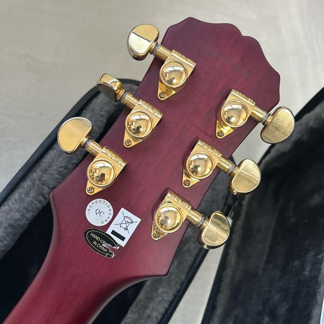 ギター Epiphone Les Paul Custom Prophecy Plus