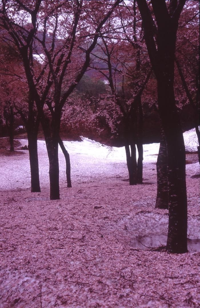 “”アナログ“”　自然風景写真（フレーム付き）　　　　フィルム撮影・銀塩プリント