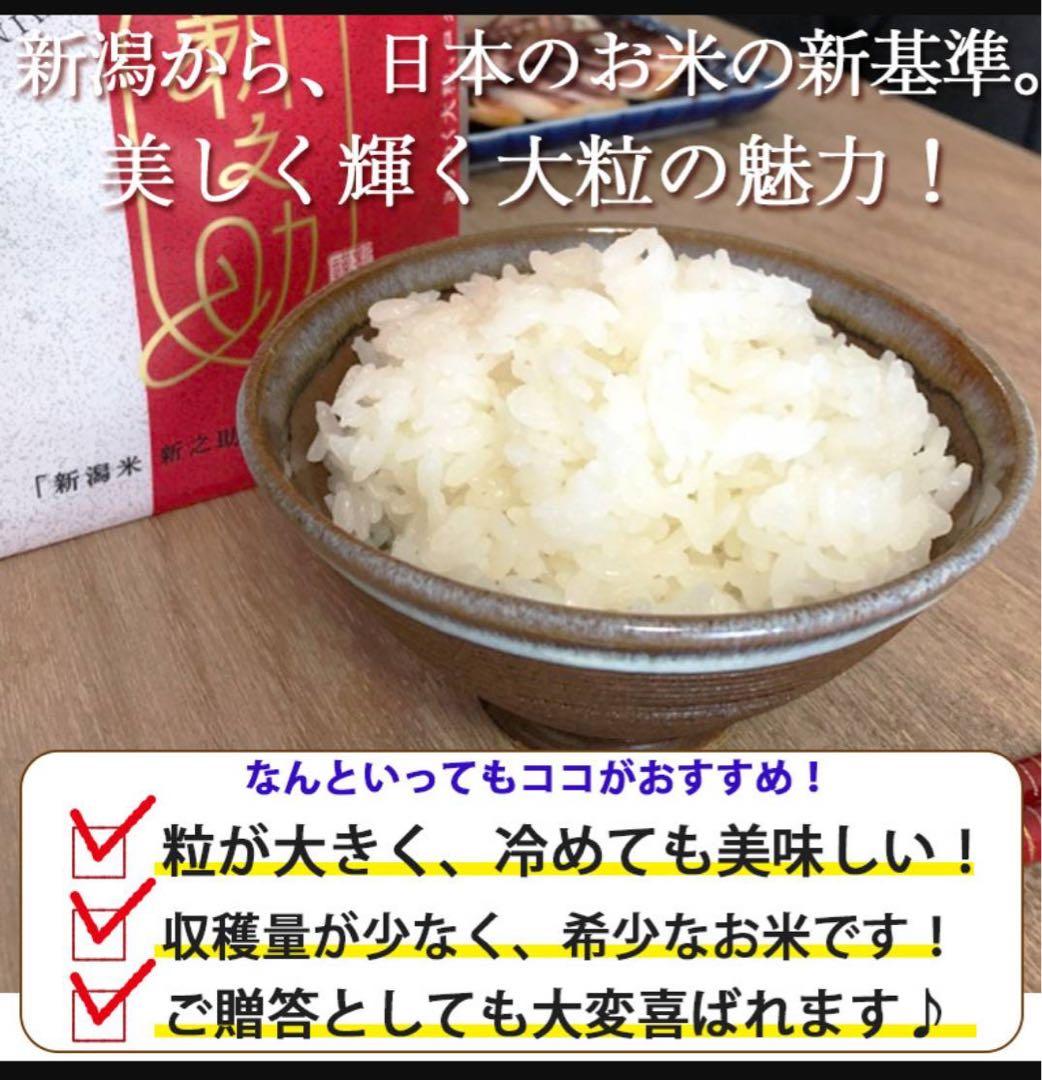 新之助 5kg×2袋　計10kg