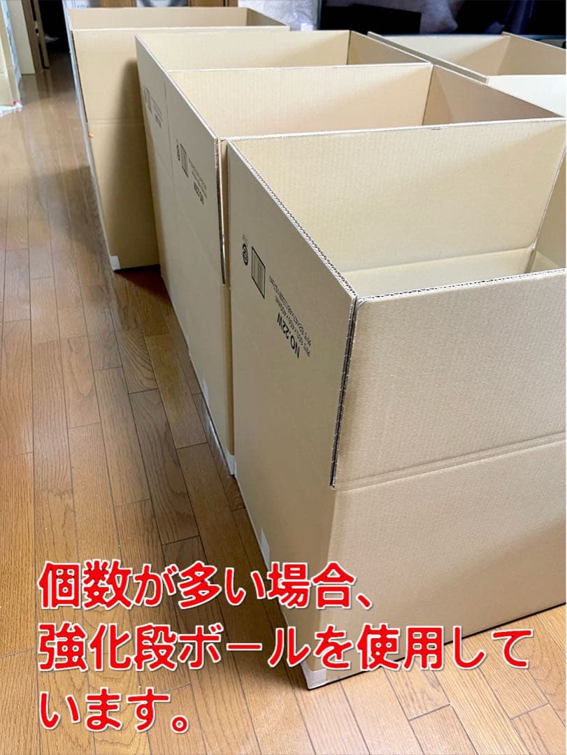 初音ミク シナモ おすまし Punk birthday タイクレ限定 赤ずきん①