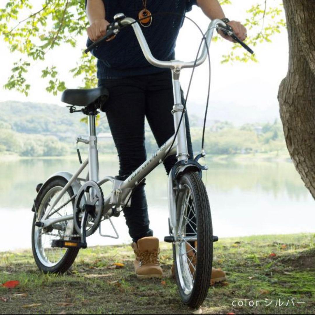 フィールドチャンプ FIELD CHAMP 折り畳み自転車