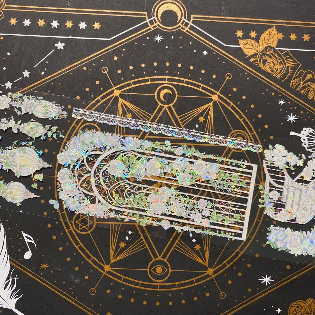 【9189】海外　マステ中古巻　貝殻光マスキングテープ　お花　ガーデン　残量多め