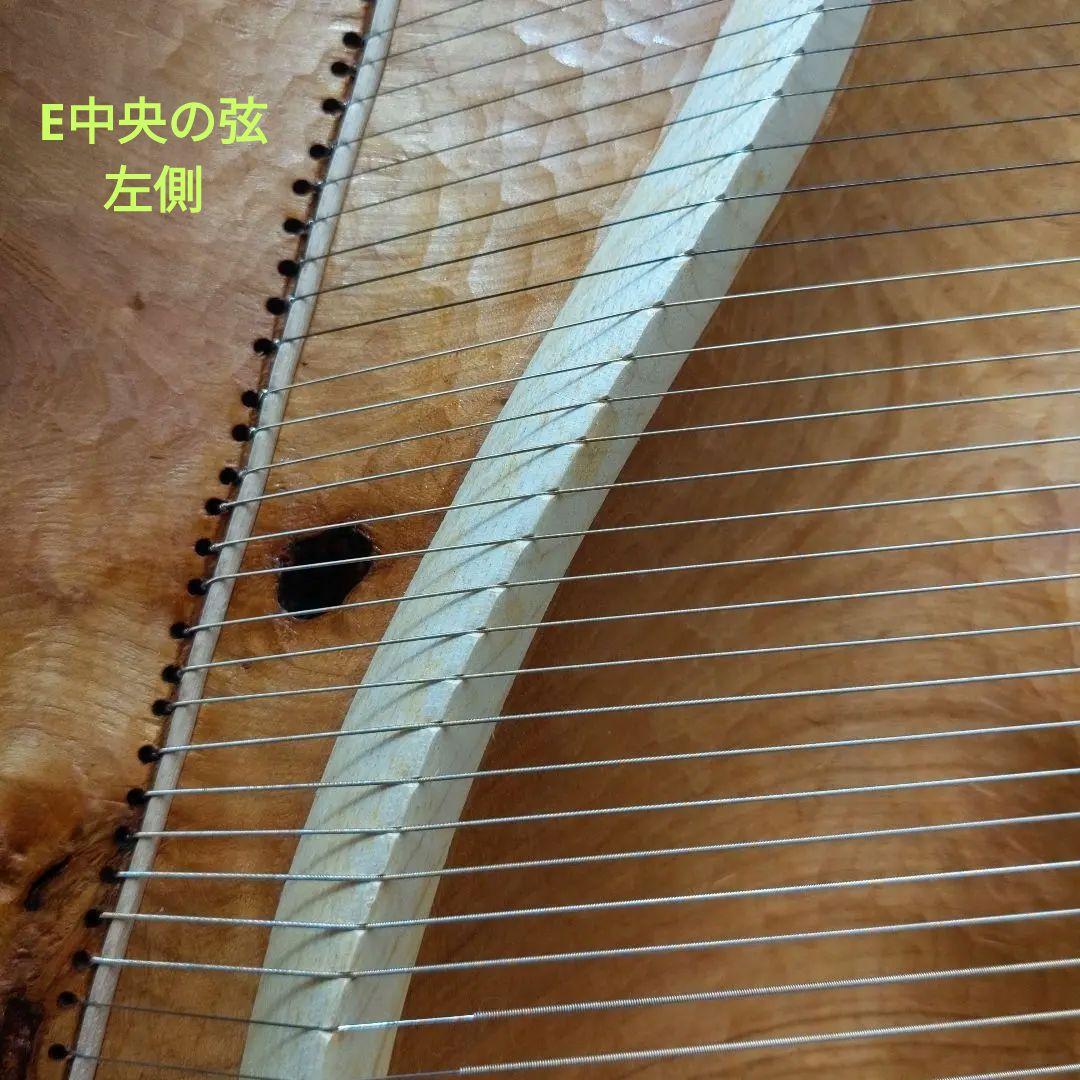 タオライアー 専用ケース付き 2014年製