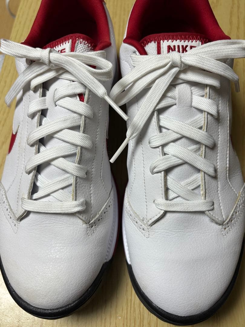 Nike ゴルフシューズ 25cm・Nikeシューズバッグ