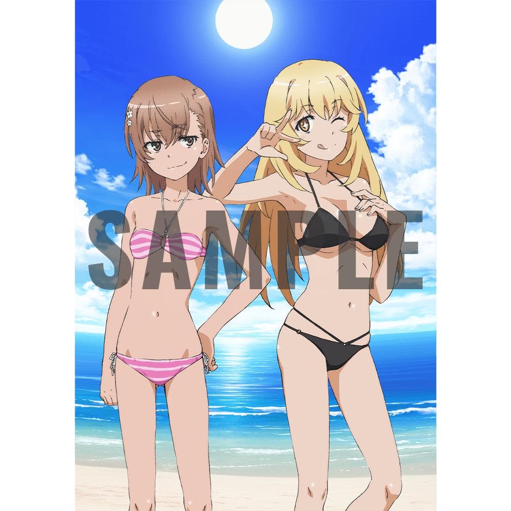 とある科学の超電磁砲T あにばーさる 特典  B2タペストリー