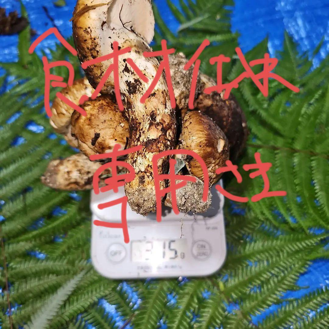 広島県産 松茸 315g　食材仕入れ専用さま