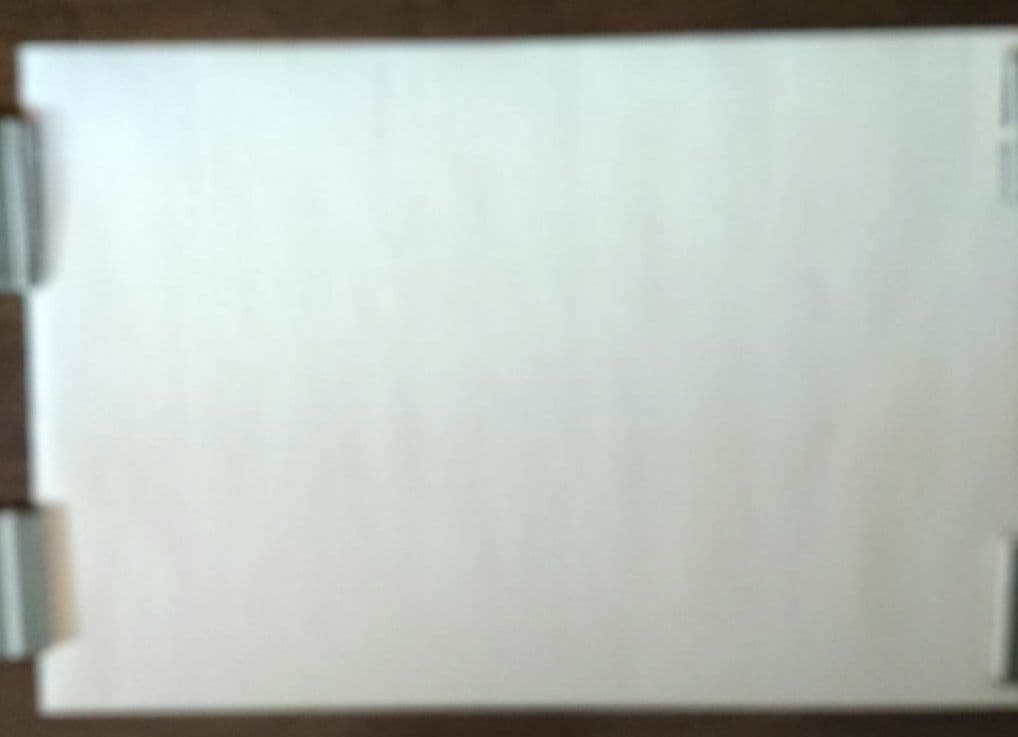 【未使用】【公式】 中森明菜 ポスター Ｂ１