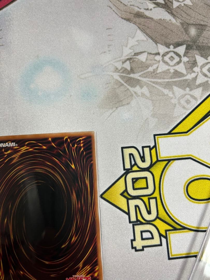 魔術師の弟子　ブラックマジシャンガール