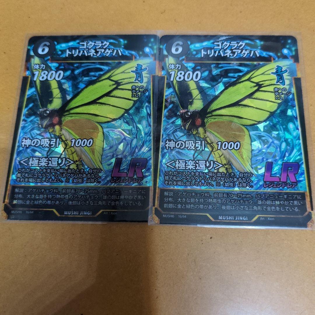 蟲神器　ゴクラクトリバネアゲハ13枚