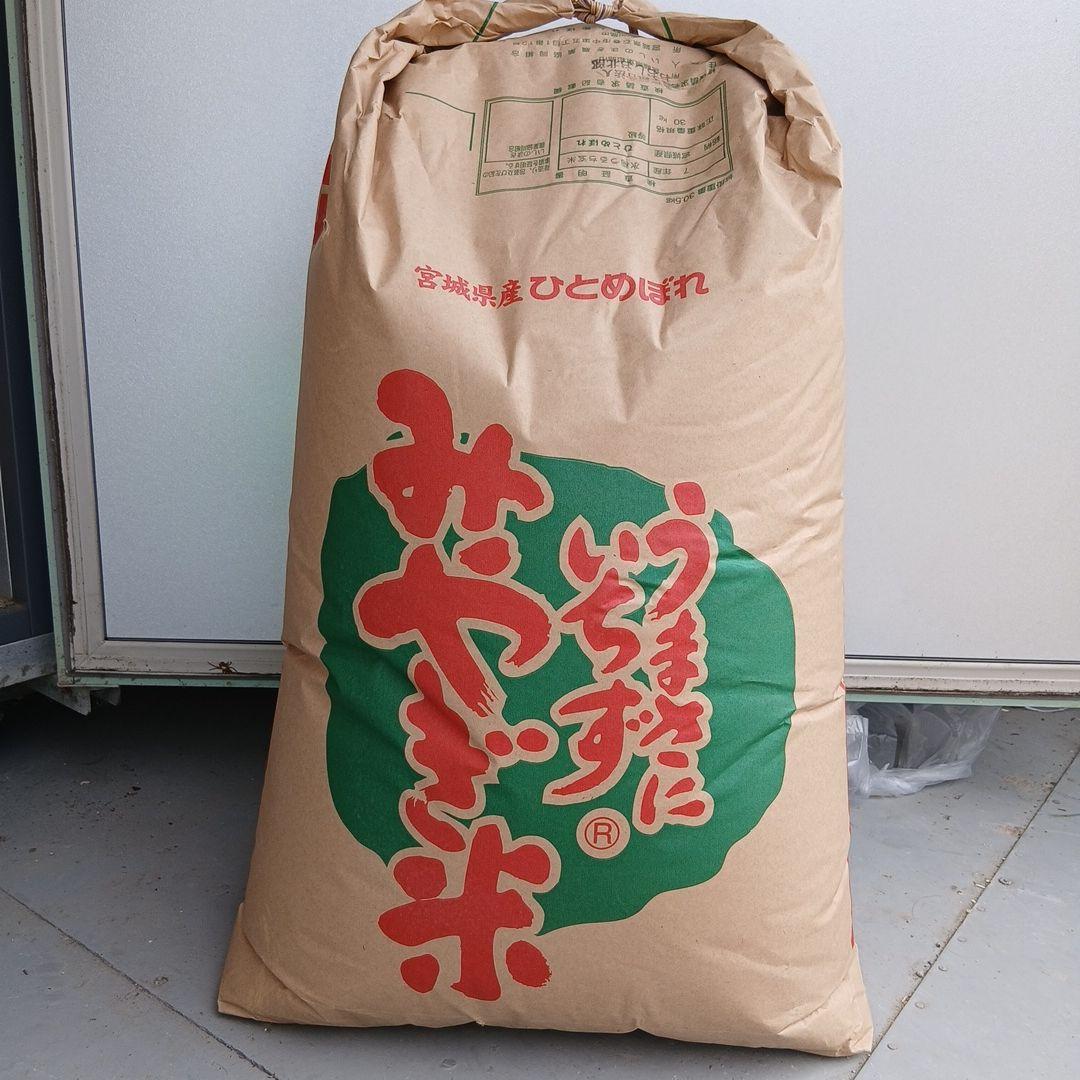 ひとめぼれ米 令和７年度 宮城県産 玄米　３０kg