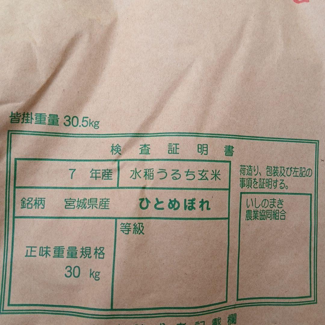 ひとめぼれ米 令和７年度 宮城県産 玄米　３０kg