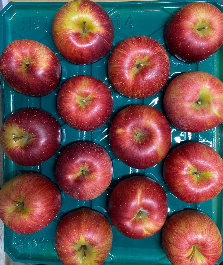 NABE　リンゴ詰め合わせ　10kg