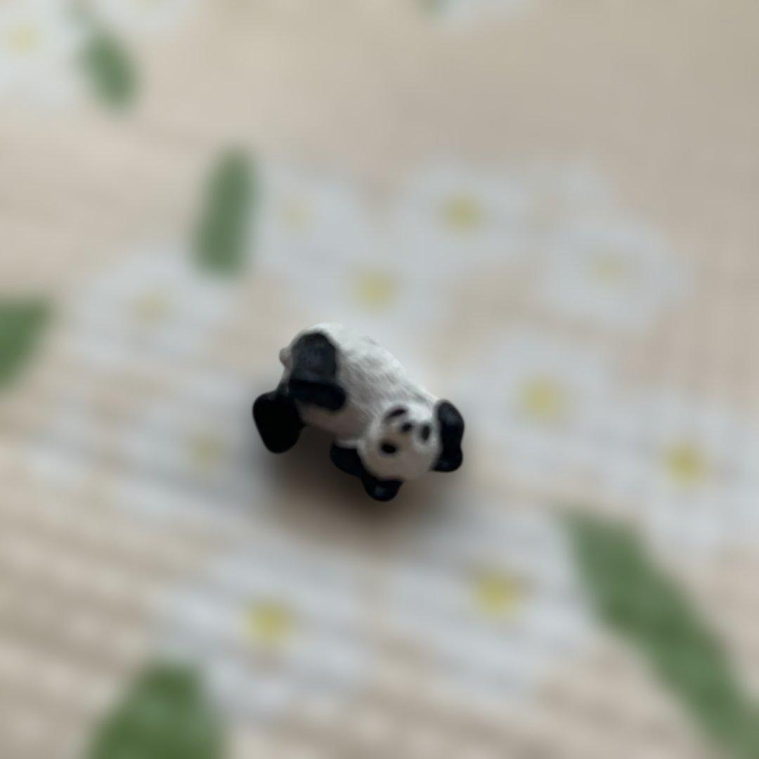 ★アドベンチャーワールド★オルゴール★ ♫シャイン オン ユー♫マスコットパンダ