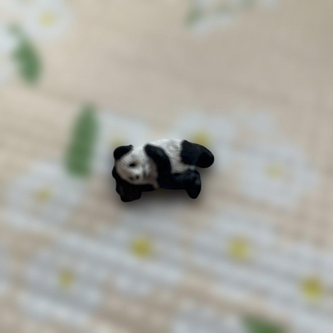 ★アドベンチャーワールド★オルゴール★ ♫シャイン オン ユー♫マスコットパンダ