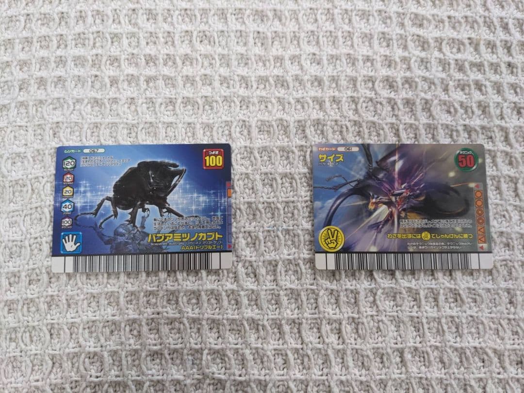 昆虫トレーディングカードセット