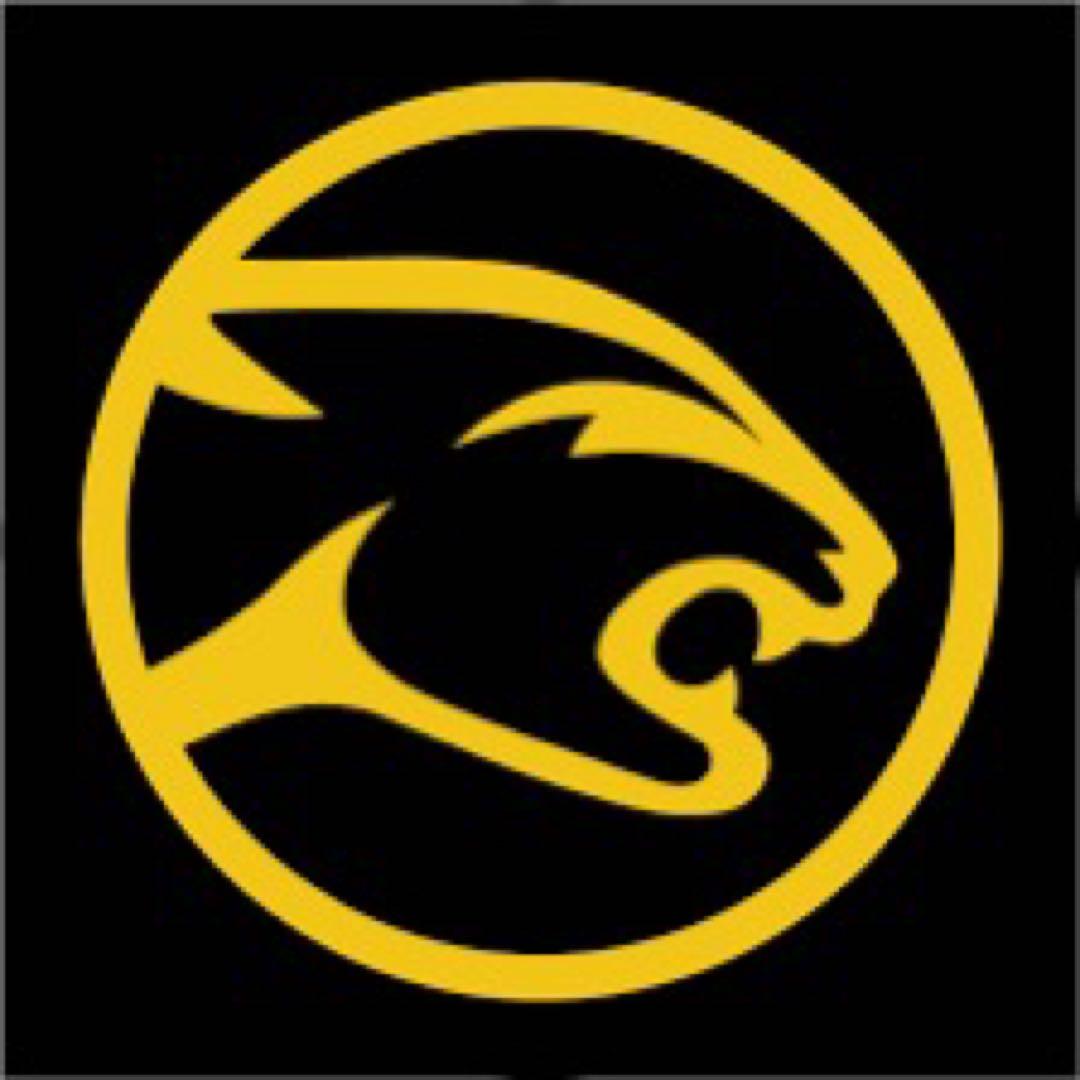 Predator プレデター BK4 ビリヤード　ブレイクキュー