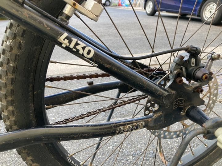 mon ritual 2005 マングース