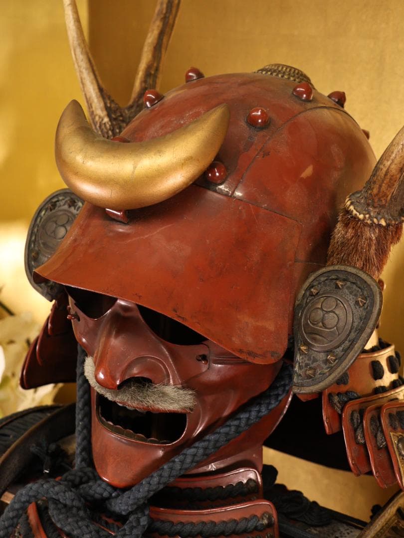 BY03　甲冑　丸に渡辺星紋　鹿角脇立　三日月前立　鎧櫃付　等身大　兜　武具