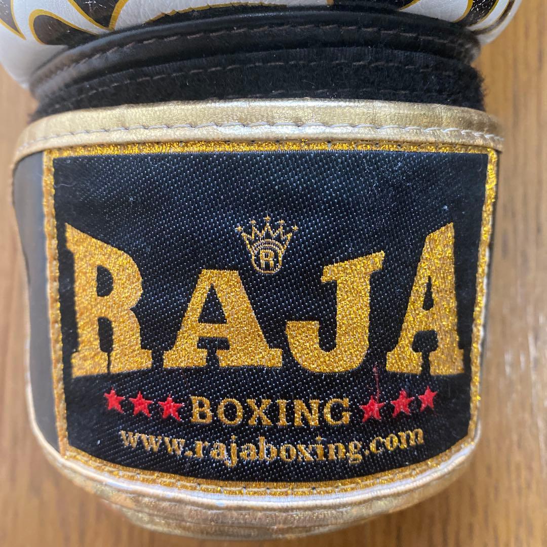 ムエタイ グローブ 10オンス