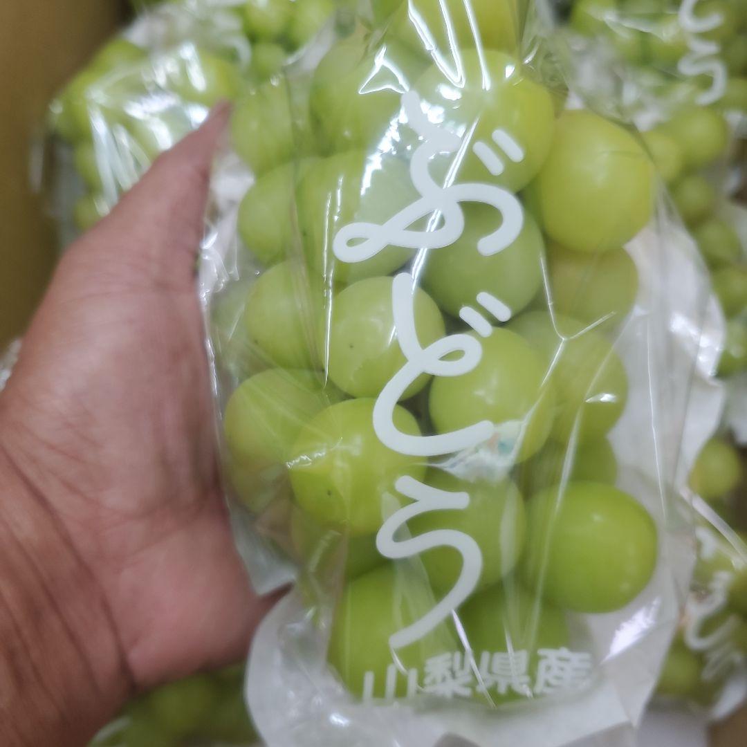 1⃣3️⃣ 山梨県産 シャインマスカット １０房入り 箱込み5.3キロ