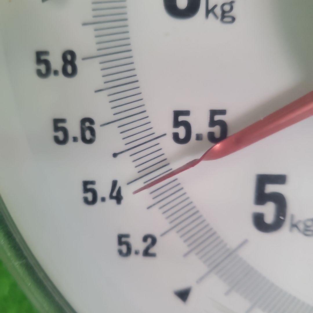 1⃣3️⃣ 山梨県産 シャインマスカット １０房入り 箱込み5.3キロ