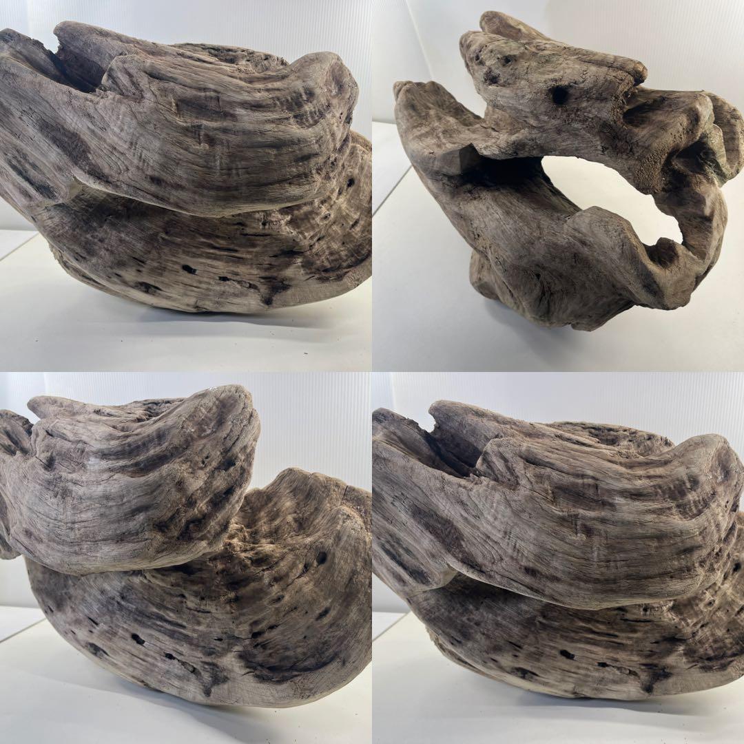 m6大型流木 アク抜き済み 爬虫類シェルター レイアウト用 オブジェ インテリア