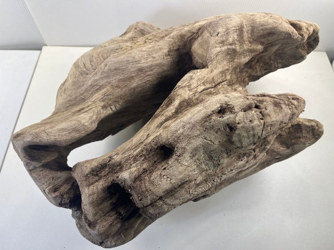 m6大型流木 アク抜き済み 爬虫類シェルター レイアウト用 オブジェ インテリア