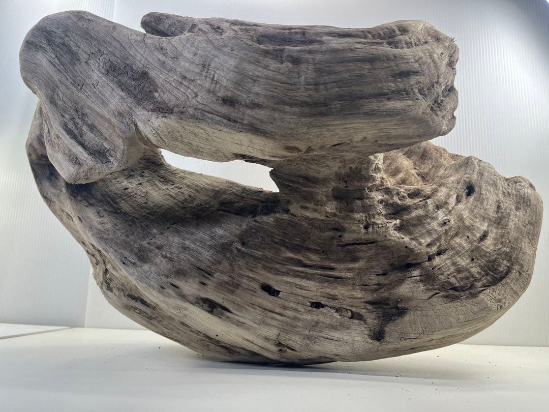 m6大型流木 アク抜き済み 爬虫類シェルター レイアウト用 オブジェ インテリア