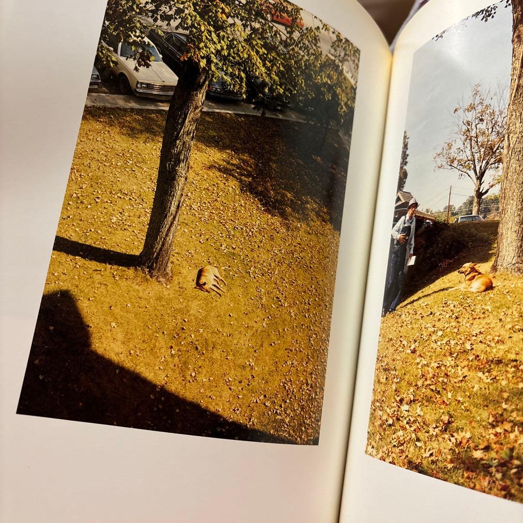 William Eggleston 写真集　Horses and Dogs