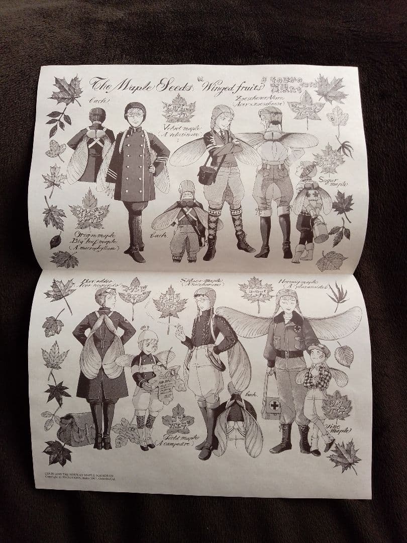 鳩山郁子 [コリンとノルウェイメープル飛行隊] 限定BOX サイン入り