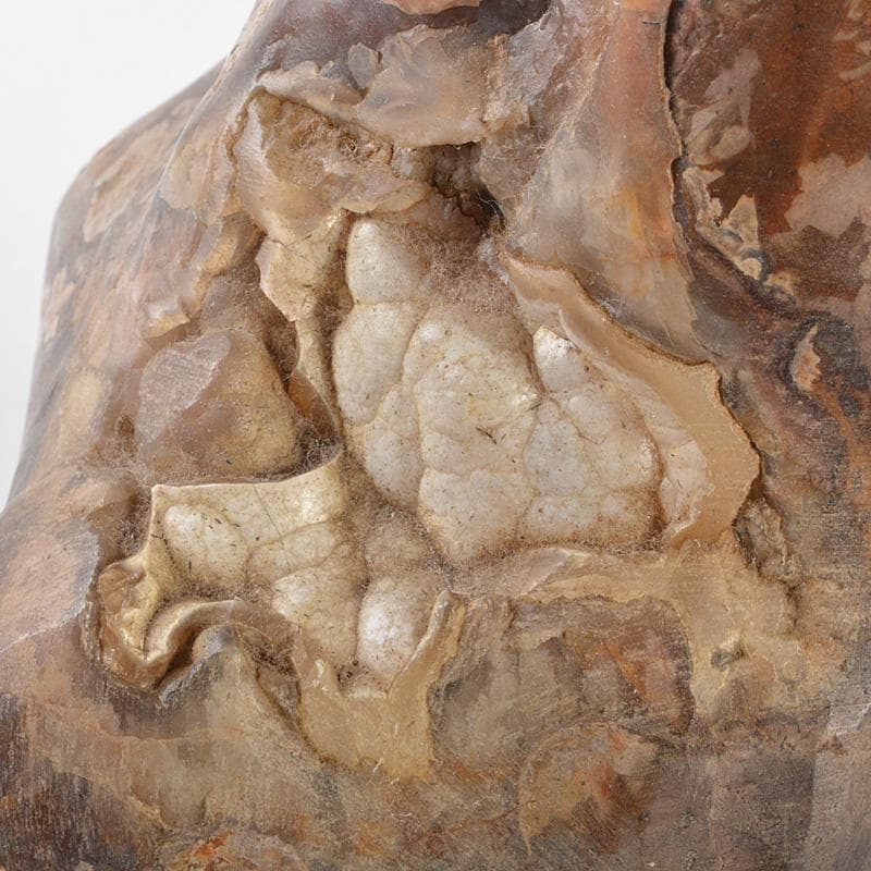 鑑賞石　天然石　梅花石　置物　唐木台付　重さ約2387g　N　6372