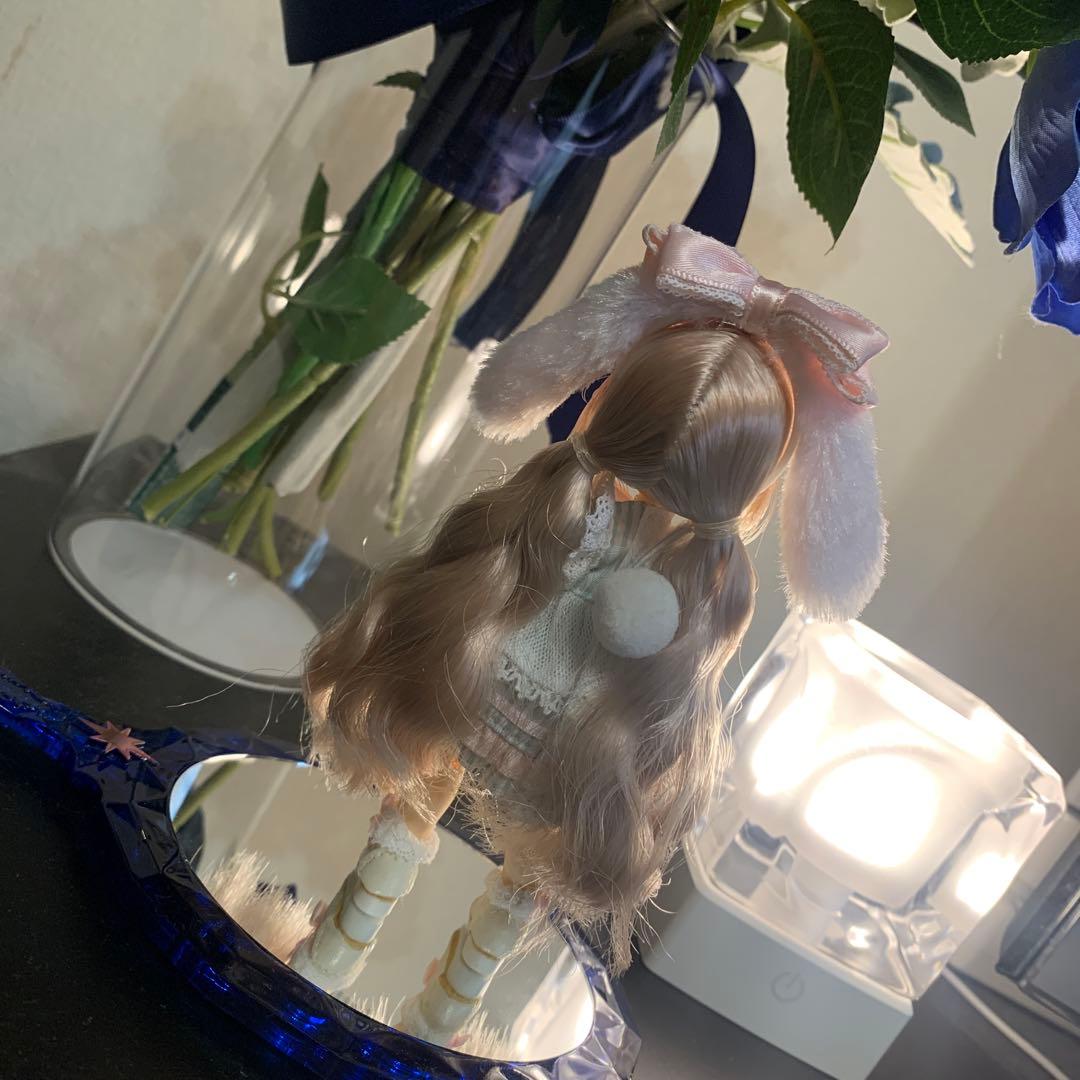 シュガーカップス ビスケティーナ アゾンダイレクトストア限定販売