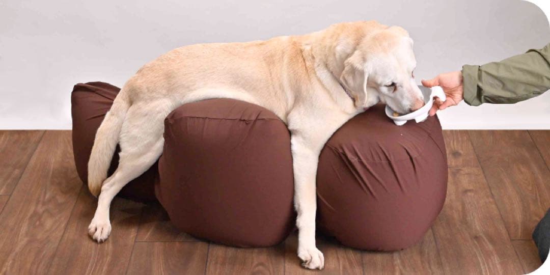 リラクッション　Lサイズ　中型犬用床ずれ予防（カバー付き）