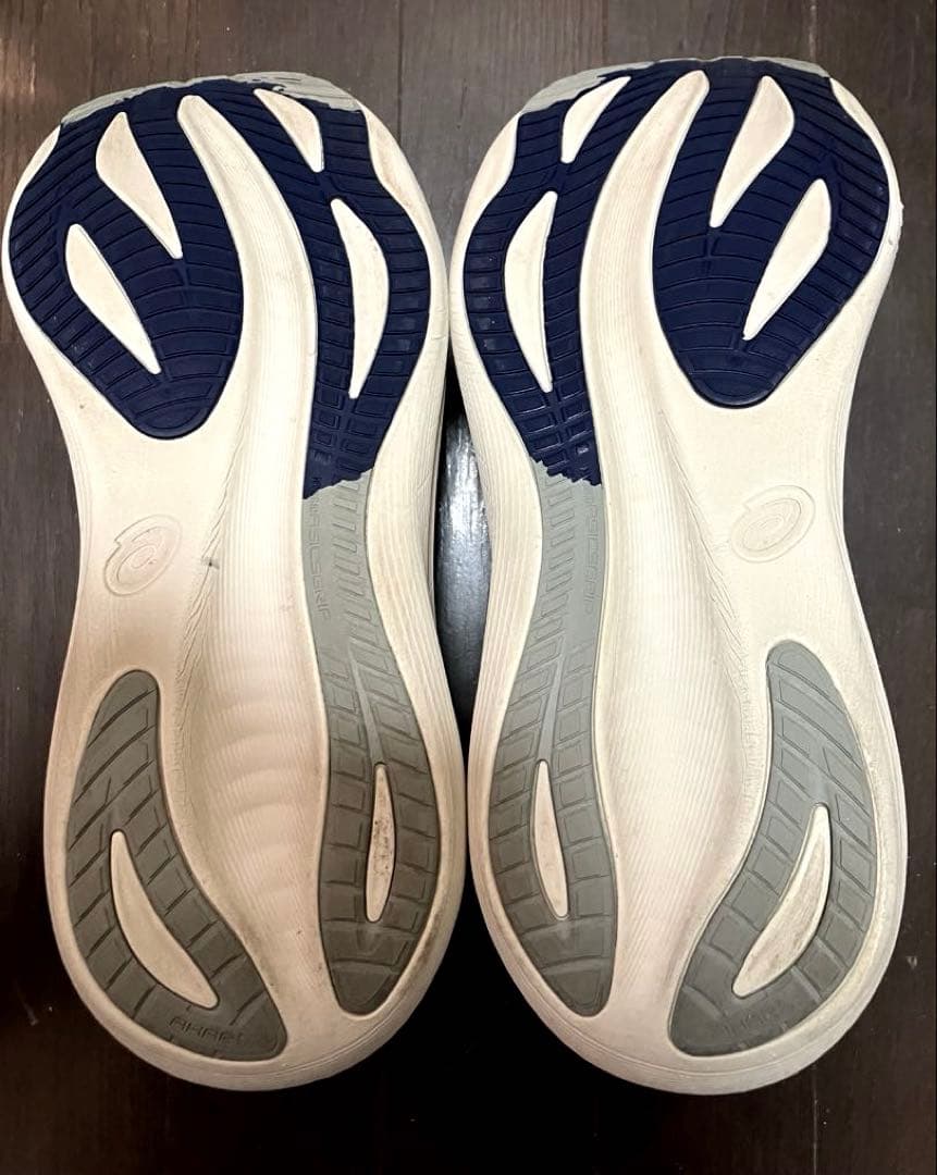 asics アシックスGEL-NIMBUSゲルニンバス27 28.0cm